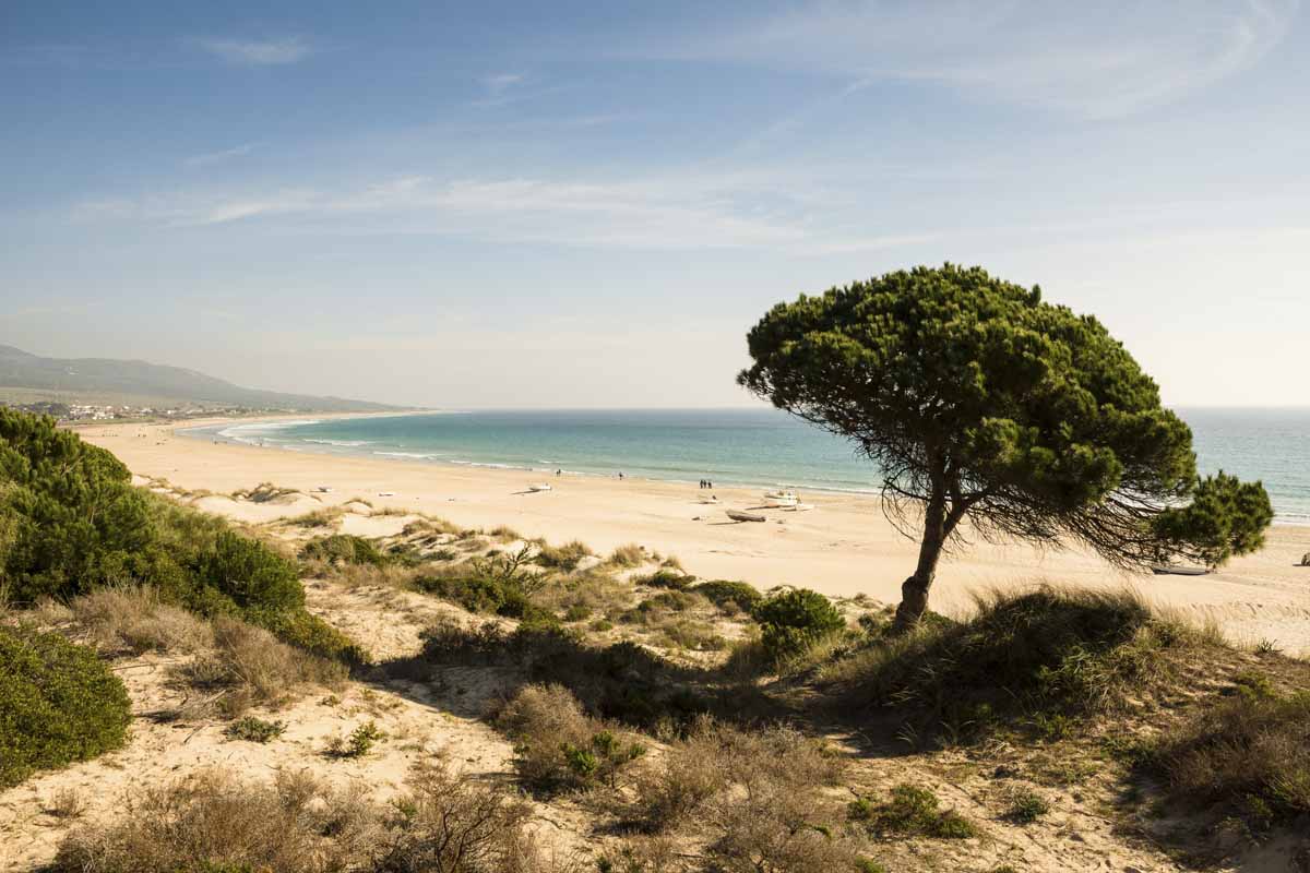 Cádiz Occidental